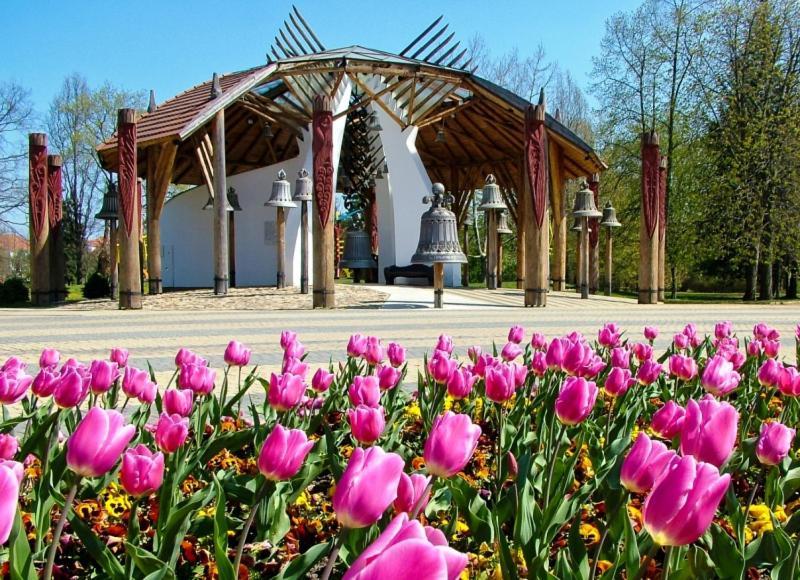 White Stone Apartman Hajdúszoboszló Dış mekan fotoğraf