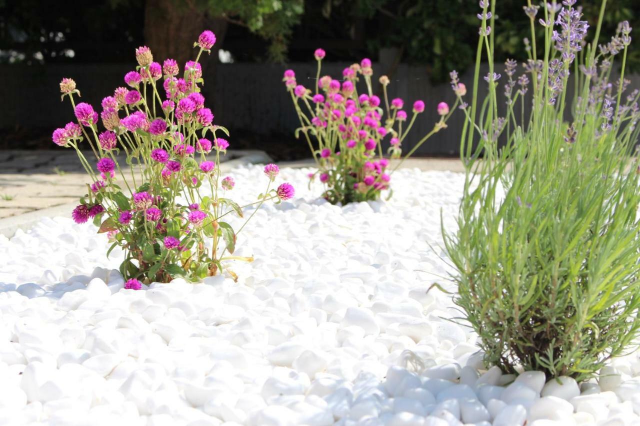 White Stone Apartman Hajdúszoboszló Dış mekan fotoğraf